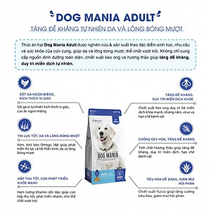 [1KG / 2,4KG  ] - Thức ăn hạt cho chó trưởng thành DOG MANIA ADULT
