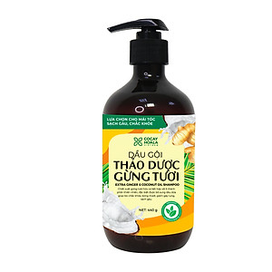 Dầu gội thảo dược gừng dừa Cocayhoala hỗ trợ trị gàu, hết ngứa, dung tích 440g-95% thành phần từ gừng tươi hữu cơ còn nguyên xơ gừng, hỗ trợ trị rụng tóc, kích thích mọc tóc vượt trội, an toàn cho mẹ bầu mẹ sau sinh