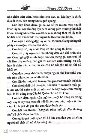 Việt Nam Phong Tục