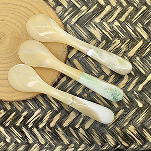 Thìa vỏ xà cừ - đuôi ốc biển cao cấp (CTH739) An kem/xúc gia vị/thìa cafe - An toàn cho sức khỏe 