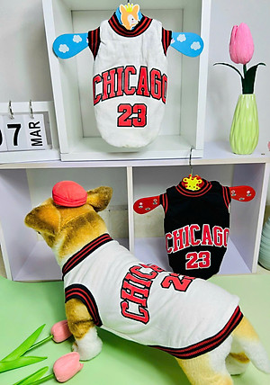 ÁO CHICAGO SANG XỊN DÀNH CHO THÚ CƯNG CHÓ MÈO