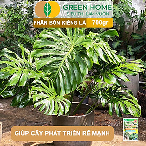 Phân Bón Cây Kiểng Lá Greenhome, Bao 700gr, Trầu Bà Monstera, Cây Nội Thất, Giúp Đâm Chồi Mạnh, Rễ Khoẻ, Lá To