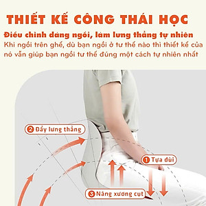 Ghế Công Thái Học Chỉnh Dáng Ngồi - Ghế Tựa Lưng Chống Cong Vẹo Cột Sống Cho Nam, Nữ, Trẻ Em - HÀNG CHÍNH HÃNG MINIIN