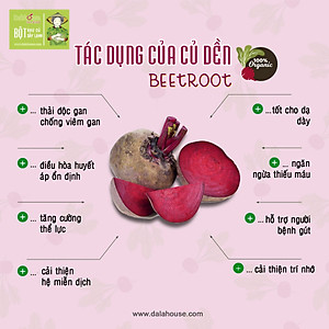 Bột củ dền Dalahouse Hộp 60gr (Mẫu mới gồm 20 tuýp tiện dụng) - Nguyên chất sấy lạnh - Organic giúp bổ máu - Đạt tiêu chuẩn Châu Âu