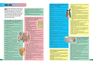 Sách Bách Khoa Tri Thức Cho Trẻ Em - Câu Hỏi Và Trả Lời (Tái Bản)