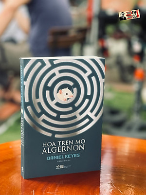 [giải NEBULA AWARD] HOA TRÊN MỘ ALGERNON - Daniel Keyes - Nhã Nam (tái bản 2022) (bìa mềm)