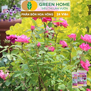 Phân Bón Hoa Hồng Greenhome, Gói 24 Viên, Giúp Cây Đâm Chồi, Thân Mập, Nhiều Nụ, Hoa To, Thắm Màu, Lâu Tàn