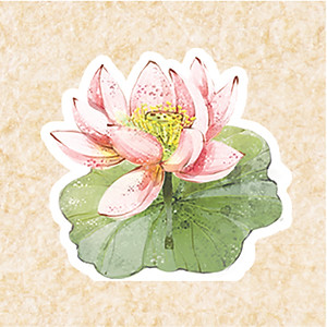 Nhang sạch Liên Tâm 29cm Hộp 50 cây - Ít khói, nhang sen 100% từ thiên nhiên, trầm hương nguyên chất, khuynh diệp, sả chanh