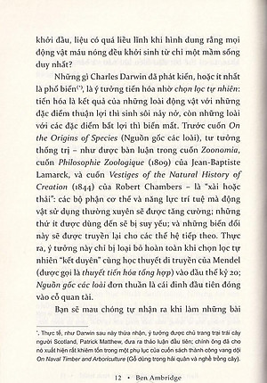 Sách Bạn Có Thông Minh Hơn Con Tinh Tinh