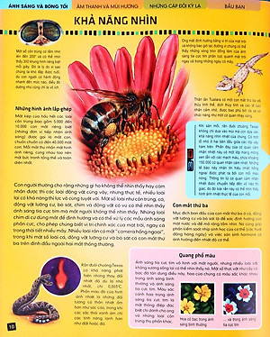 Tủ Sách Thế Giới Động Vật - Giác Quan Và Giao Tiếp (Hình Minh Họa 3D)