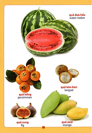 Sách Từ Điển Bằng Hình - Hoa, Quả, Rau, Củ
