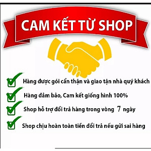 Cần Cân Đơn Siêu Bạo Lực 12H Hồng Long - Đồ Câu Văn Chương