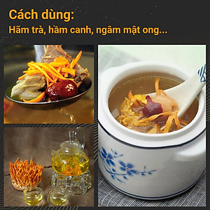 Đông trùng hạ thảo bán tự nhiên Dược Quý Đường hộp 20g - Hỗ trợ bổ phế, ích can thận, bồi bổ cơ thể