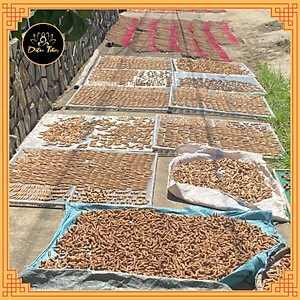 Trầm hương nụ dùng xông trầm, thác khói trầm hương trầm sạch Đại Lộc -Quảng Nam