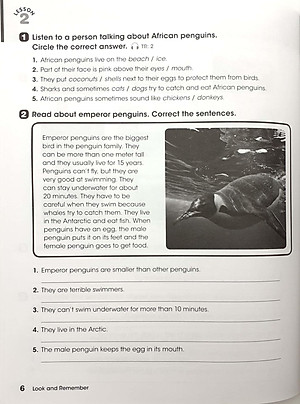 Look 4: Workbook With Online Practice