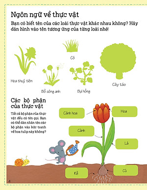 Sách Thế Giới Trong Tay Em - Sự Sinh Trưởng Của Vạn Vật