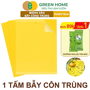 Bộ 10 Miếng Dán Bẫy Côn Trùng GreenHome, R20xC15cm, 2 Mặt, Hiệu Quả, Tiết Kiệm Chi Phí, Dễ Sử Dụng