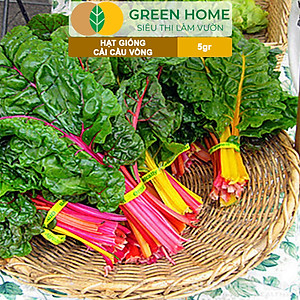 Hạt Giống Rau Cải Cầu Vồng Greenhome, Gói 5g~200 hạt, Dễ Trồng Quanh Năm, Nảy Mầm Cao, Thu Hoạch Nhanh, Năng Suất Cao R06