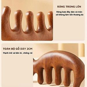 Lược Gỗ Đàn Hương Đầu Cá Heo Massage Kinh Tuyến, Da Đầu