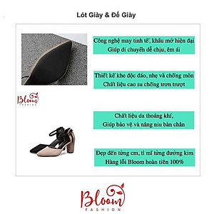 Giày cao gót nữ 7p YUKIBLOOM đế vuông da lộn bít đầu BG01