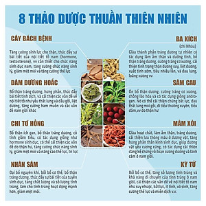 Thực Phẩm Bảo Vệ Sức Khỏe Thiên Sư - Viên Bổ thận - Bổ thận tráng dương tăng cường sinh lực