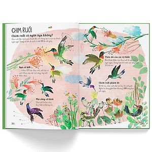 Sách A Lê Hấp! Thế Giới Chim