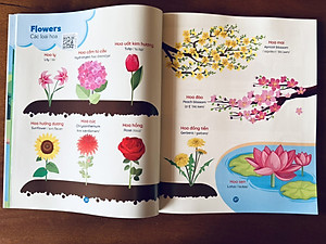 Sách - Combo 4 cuốn Tiếng Anh Đầu Đời Cho Bé (Kèm file nghe) - Giúp bé phát triển ngôn ngữ sớm, học nhanh, nhớ lâu, mở rộng vốn từ, tự tin giao tiếp