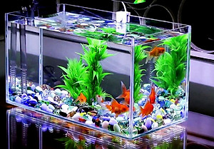 Máy lọc nước bể cá cảnh Electrical RS188 ( 12W, 800L/H) - Máy lọc chìm 