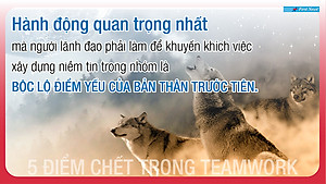 Sách 5 Điểm Chết Trong Teamwork