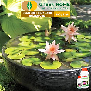 Dung Dịch Thủy Canh Greenhome, Lavamix, Phân Bón Cây Thuỷ Sinh, Hoa Sen, An Toàn Cho Cá, Tép Cảnh