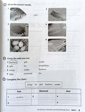 Oxford Discover: Level 2: Workbook With Online Practice - 2nd Edition