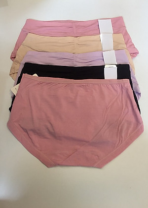 Combo trộn 5 màu khác nhau Quần lót cotton co giãn 4 chiều Thái Lan 3044