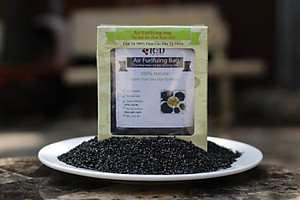 Túi hút ẩm than hoạt tính gáo dừa khử mùi và lọc không khí cho xe hơi chính hãng R2D (hộp 2 túi Lớn)