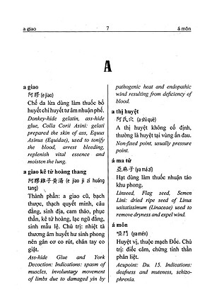 Sách - Từ Điển Đông Y Hán-Việt-Anh - Bìa Cứng (Tái Bản 2024)