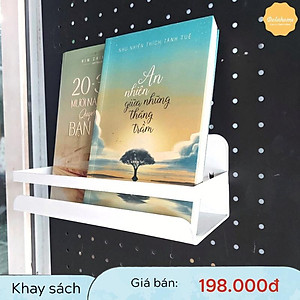 Khay đựng sách, dụng cụ văn phòng, dụng cụ bếp Dola Home kim loại cao cấp - Phụ kiện bảng Pegboard