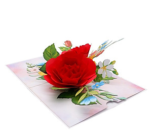 Thiệp 3D Hoa Hồng Đỏ Sang Trọng – Thiệp Pop Up Lãng Mạn, Tặng Sinh Nhật, Lễ Tình Nhân, 8/3, 20/10, F58