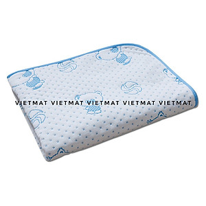 Tấm Lót Chống Thấm VIETMAT (40 x 50 cm)
