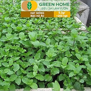 Hạt Giống Bạc Hà Âu Greenhome, Gói 0,1gr, Húng Lũi Dễ Trồng Quanh Năm, Nảy Mầm Cao, Thu Hoạch Nhanh, Năng Suất Cao G02