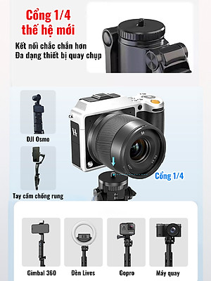 Gậy quay video MP19s thông minh,chụp ảnh, livestream, kim loại bền bỉ, gimbal 360 dõi theo, nâng cấp, hàng chính hãng
