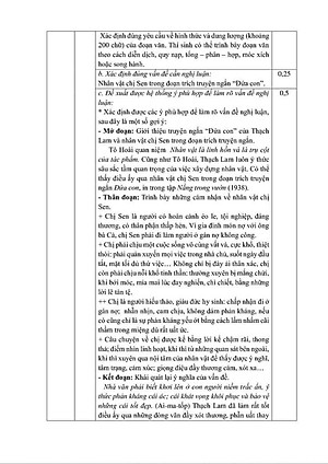 Sách - Chinh phục kì thi tốt nghiệp THPT môn ngữ văn