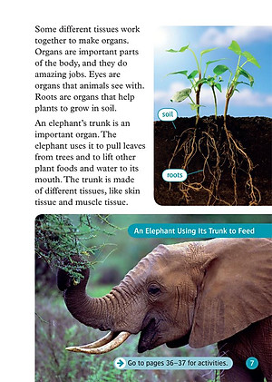 Oxford Read and Discover 6 Cells and Microbes