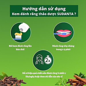 Kem Đánh Răng Thảo Dược Sudanta Sri Sri Tattva - Không Chứa Flouride, 100% Thuần Chay, Chắc Răng, Thơm Miệng, Ngừa Các Bệnh Từ Răng Miệng, Nướu Bằng Y Hoc Cổ Truyền Ayuveda