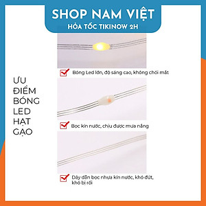 Dây Led Rèm Hạt Gạo Chống Nước, Hiệu Ứng Thác Nước, Trang Trí Ngoài Trời