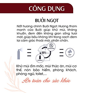 Xịt Phòng Tinh Dầu Bưởi Ngọt Hữu Cơ Organic 24Care 50ML/100ML - Kháng khuẩn - Khử mùi hôi - Đuổi muỗi, côn trùng - Xịt không gian bàn ăn, giúp ăn ngon miệng hơn - Hương thơm thư giãn.