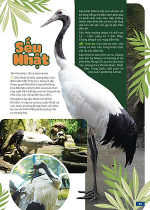 Thảo Cầm Viên Sài Gòn - Kho Báu Trong Lòng Thành Phố