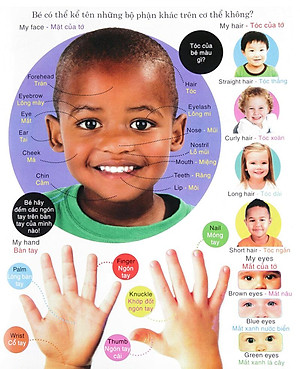 Sách Vừa Học Vừa Chơi - Từ Vựng Tiếng Anh