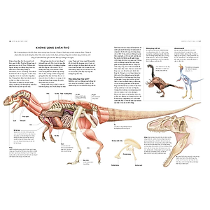 Sách Bách Khoa Khủng Long Toàn Tập