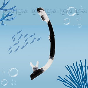 Ống Thở Bơi Lặn Biển Ngắm San Hô Đáy Biển Dã Ngoại Picnic