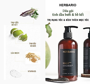 Bộ dầu gội dầu xả tinh dầu vỏ bưởi & bồ kết Herbario 300ml giảm rụng tóc kích thích mọc tóc, giảm gãy rụng cho tóc suôn mượt đen bóng thuần chay