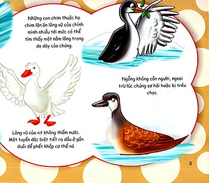 Sách Những Điều Kỳ Thú - Thú Vị Các Loài Chim